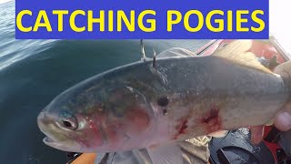 Pogies Menhaden or Bunker How to Catch as Bait for Kayak Fishing Wilderness Systems Tarpon 100 [upl. by Bock654]