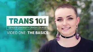 Trans 101  The Basics [upl. by Etti]