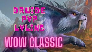 WoW Classic Druide PvP lvling on 2 shoot un chaman [upl. by Osi230]