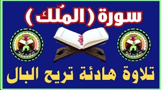 سورة الملك كاملة بتلاوة هادئة تريح البال👆👆 [upl. by Ciardap]