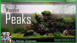 Wooden Peaks by Marian Cucerzan [upl. by Bedad]