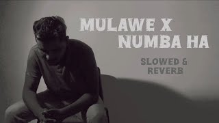 Mulawe X Numba ha Mashup Cover Slowed amp Reverb Version dilubeats numbaha mulawe mihiran [upl. by Kingsley835]