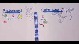 Difference between bacteriostatic and bactericidal drugs urduhindi [upl. by Burgess240]