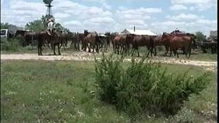 A Day in the Life of a West Texas Cowboy [upl. by Bozuwa750]