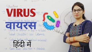 Virus in hindi  What is a virus  Introduction to viruses  structure and symmetry of virus [upl. by Tsnre]