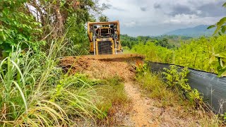 Awesome Bulldozer Operator Works Very Superior Smoothing Plantation Roads [upl. by Durkin]