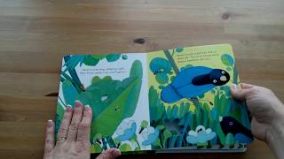 Peep Inside the Jungle  Usborne [upl. by Forras]