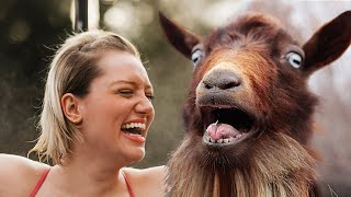 Funny Goats Screaming Like Humans Compilation 🐐🤣 Goats Yelling Like Humans [upl. by Eeneg]