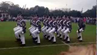 2014 Summerall Guards Homecoming Performance [upl. by Roye719]