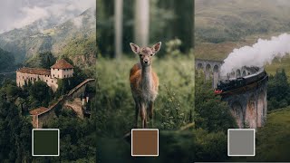 FREE DNG Preset  How to Get The Soft Faded Look like michaelkagerer Lightroom Wildlife Editing [upl. by Liss]