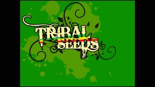 Tribal Seeds  Dark Angel [upl. by Alael]