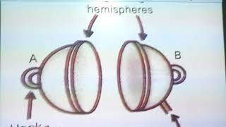 Class 8th magdeburg experiment amp our body with atmospheric pressure [upl. by Eisned469]