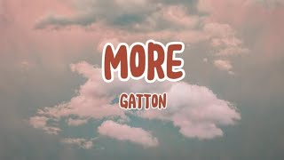 More  Gatton Lyrics [upl. by Jordans]