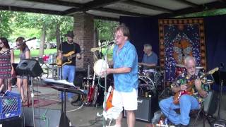 Dizzy  Tommy Roe  Neighborhood Picnic Band 2014 [upl. by Courtund]