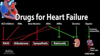 Pharmacology Drugs for Heart Failure Animation [upl. by Hale]