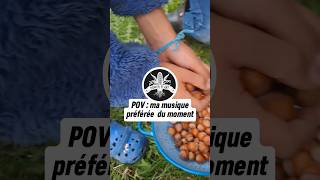 Que font ces petits écureuils  🐿🥜🌲 [upl. by Cirenoj]