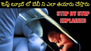 How Test Tube Babies are Prepared In TeluguIVF Process Explained in TeluguTest Tube Baby In Telugu [upl. by Archer]