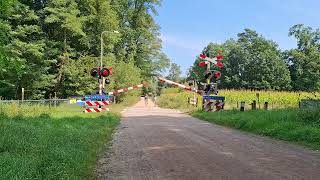 Spoorwegovergang Doetinchem  Dutch Railroad Crossing [upl. by Nimrahc]