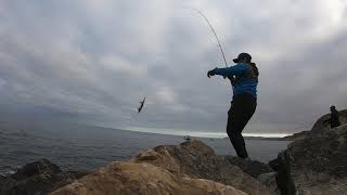 Morning Squid Fishing at Wirrina Cove South Australia [upl. by Yelsnit894]