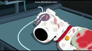 Family Guy  Season 12 Episode 3  Brians Death [upl. by Rik]