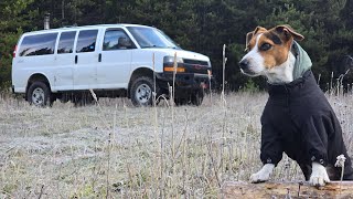 October Van Life deep in the Mountains and a school bus tour [upl. by Iamhaj424]