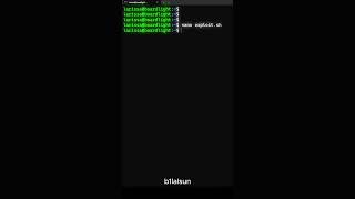 HackTheBox Privilege Escalation hacker [upl. by Shank95]