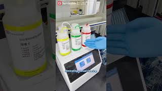 Western Blot Automatic amp Continuous Gel Preparation T20 [upl. by Nerrual]