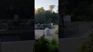 Central Park weddingNewyork [upl. by Hodosh515]