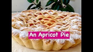 How to Make a Very Delicious Apricot Pie [upl. by Wolfie]