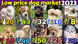 ₹10 ₹20 ₹50 Cheapest Dog Market in India 🐶 Free Home Delivery 🏡🚚 LabGsdPomRotthuskypug [upl. by Furmark]