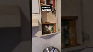 NASTY FLORIDA EVICTION florida realestate economy eviction shorts yuck recession homerepair [upl. by Kreis]