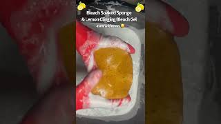 Bleach Soaked Sponge 🧽 amp Lemon Clinging Gel 🍋  asmrwithmws 🤤 [upl. by Sulakcin921]