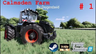 Ultra Realism on Calmsden Farm  Farming Simulator 22  Ep 1 [upl. by Coleman]