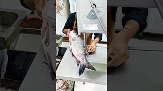 unique river giant Catla fish cutting skills fishlaver shorts fishing [upl. by Glori802]