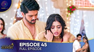 Ishq Ki Dastaan  Naagmani Episode 45  English Subtitles [upl. by Fern]