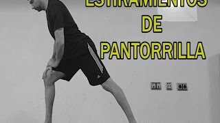 La guía completa de estiramientos  Pantorrillas [upl. by Eimmelc]