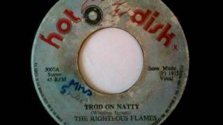 WINSTON JARRETT amp THE RIGHTEOUS FLAMES  Trod on natty  version 1975 Hot disk [upl. by Mannuela55]