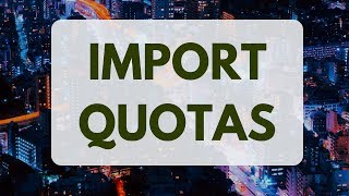 Import QUOTAS in Economics [upl. by Ilat831]