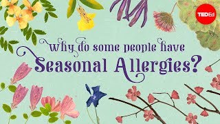 Why do people have seasonal allergies  Eleanor Nelsen [upl. by Celik]