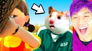 SQUID GAME vs HAMSTERS SHOCKING ENDING LANKYBOX REACTION [upl. by Retsim240]