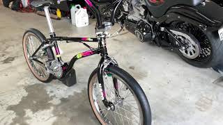 2020 Haro Sport Bashguard Lineage Black walk around [upl. by Onil]