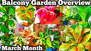 Small Balcony Garden Tour  Balcony Garden  Small Balcony Garden Ideas [upl. by Quin349]