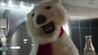 World of CocaCola Polar Bear Moment of Happiness [upl. by Thalia]