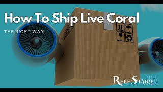 How to Ship Live Coral Frags [upl. by Neelyaj74]