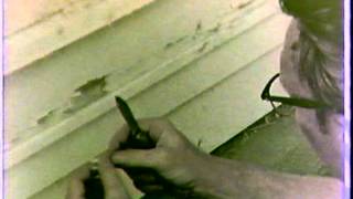 Lead Paint Poisoning 1972 National Bureau of Standards [upl. by Axe117]