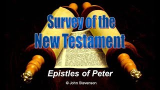 New Testament Survey 21  Epistles of Peter [upl. by Inaniel]