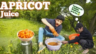 How To Make Dry Apricot Juice In Hunza Valley  Funny Video 🤣 dry fruit juice 🥤 [upl. by Eceinehs572]