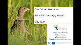 Crex Futures Workshop Session 2 [upl. by Celtic]