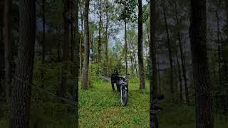 Santai di Hutan Pinus Jurang Jero Srumbung Magelang Jawa Tengah [upl. by Ayotahs958]