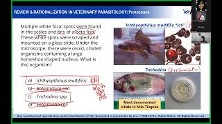 Parasitology Day 2 Part 2 [upl. by Hartman]